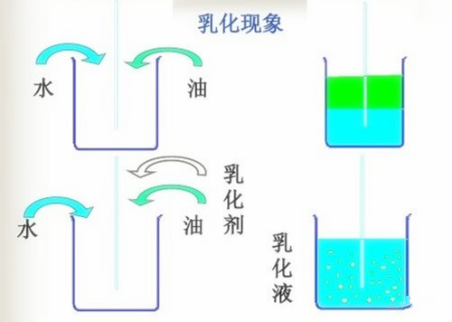 微信圖片_20191107111055_副本.jpg